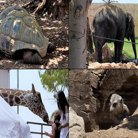 Mulberry Retreat 0,5km From Everything