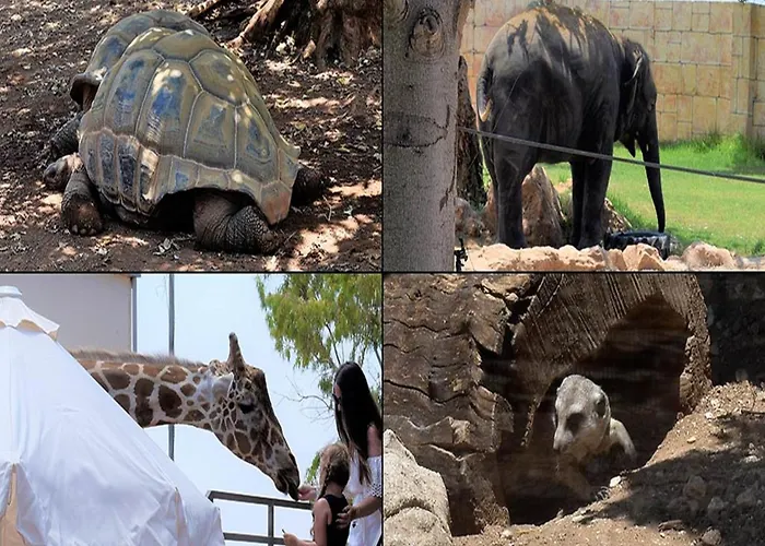 Mulberry Retreat 0,5km From Everything